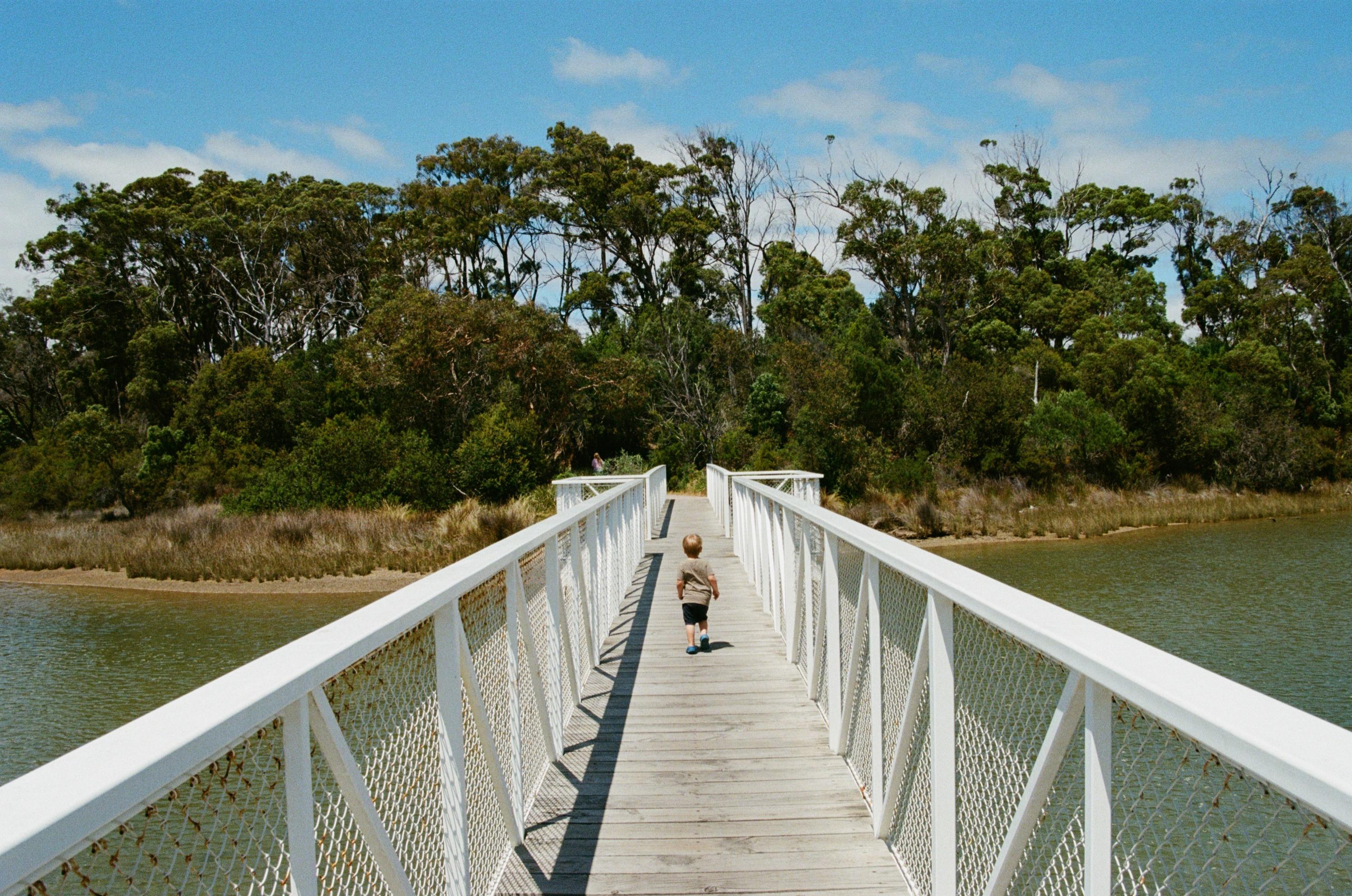 carousel-hero-element image-2