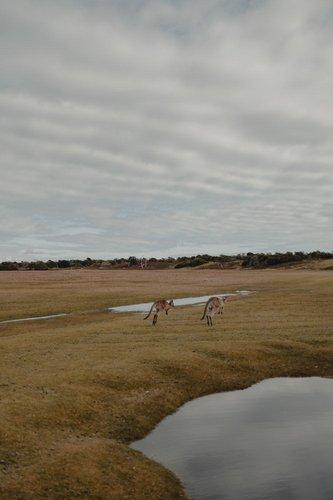 mobile - carousel-hero-element image-11