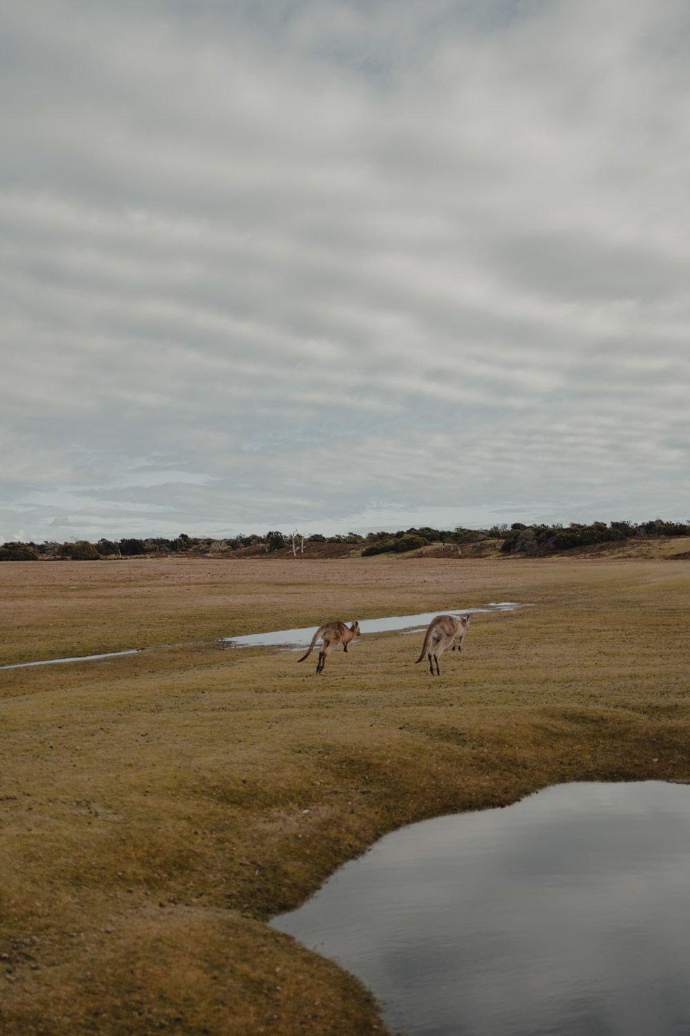 carousel-hero-element image-11