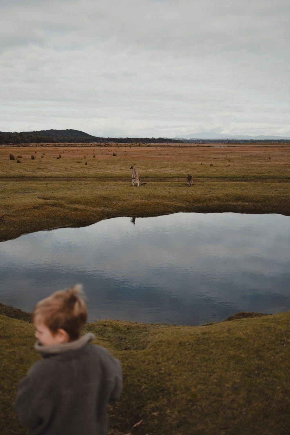 carousel-hero-element image-10