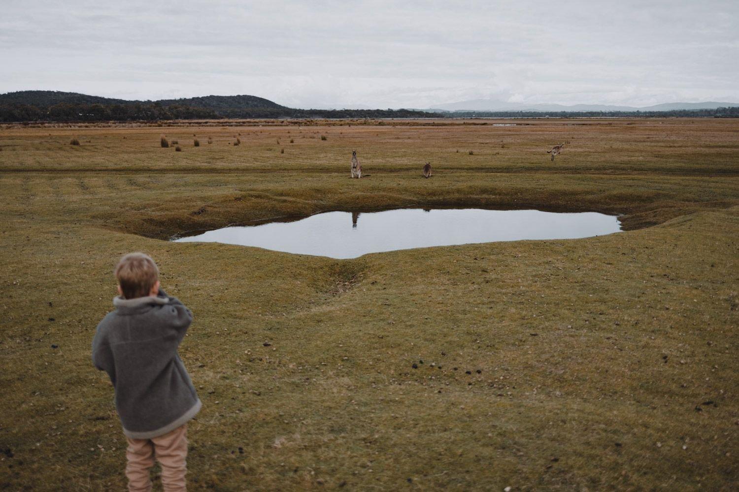 carousel-hero-element image-12